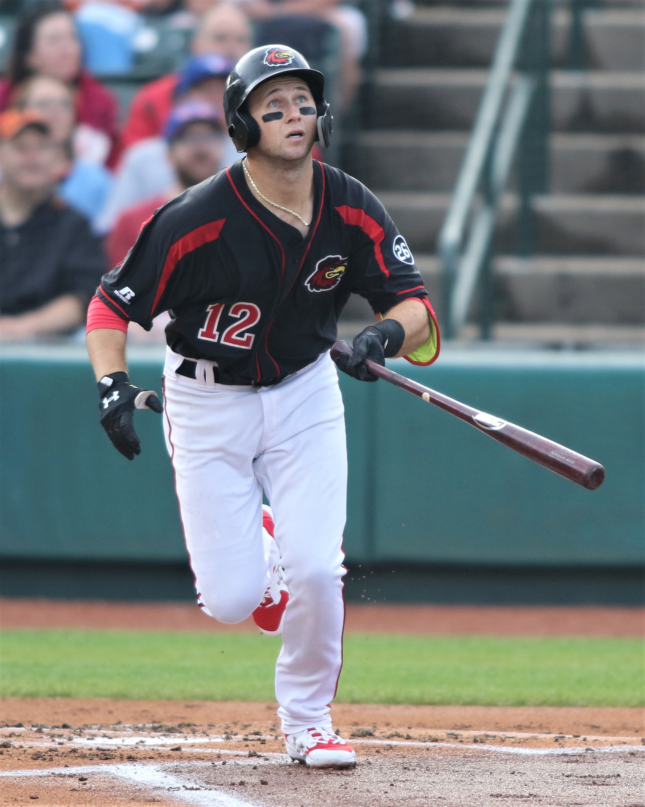 Redwings batter image
