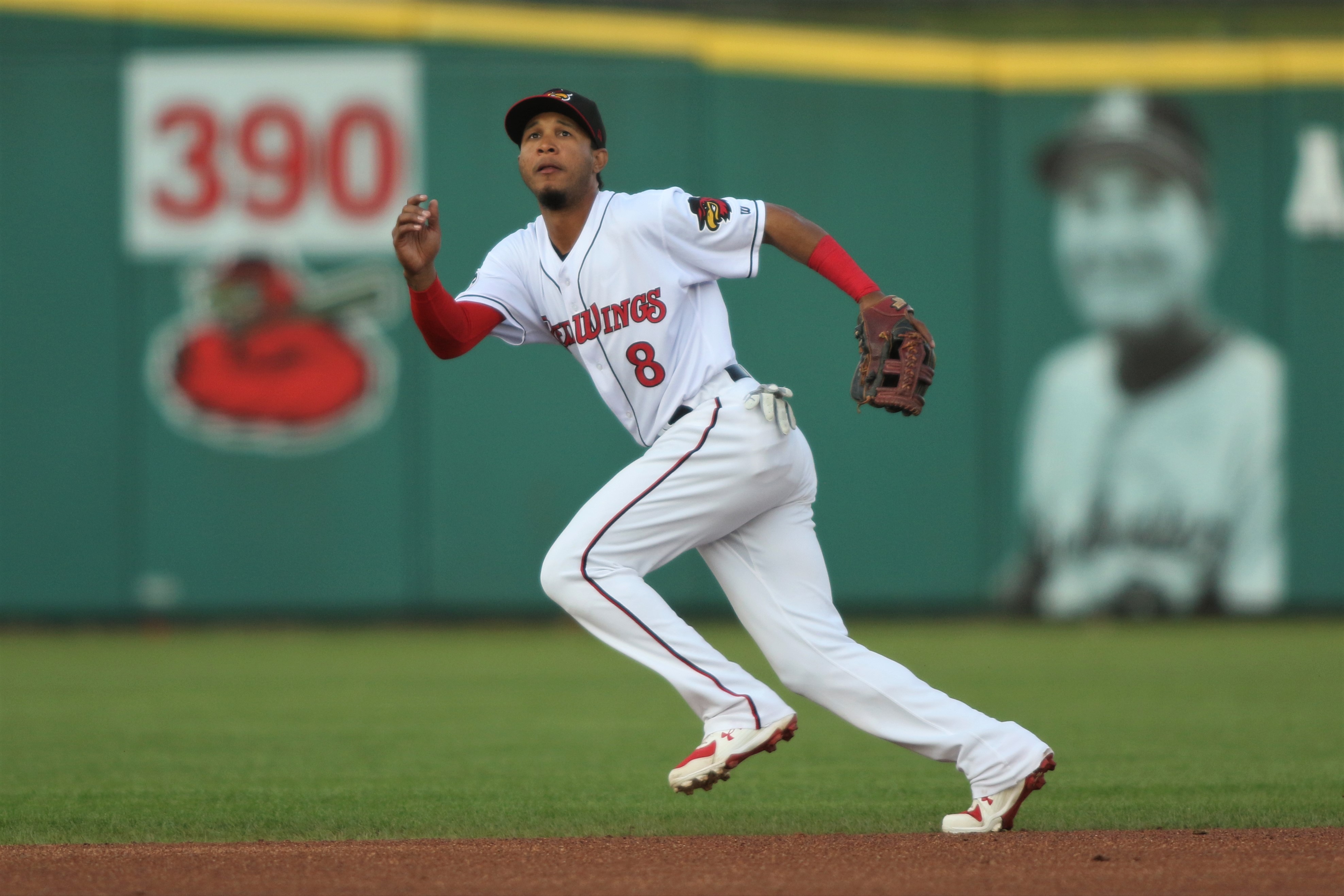 Redwings outfield image