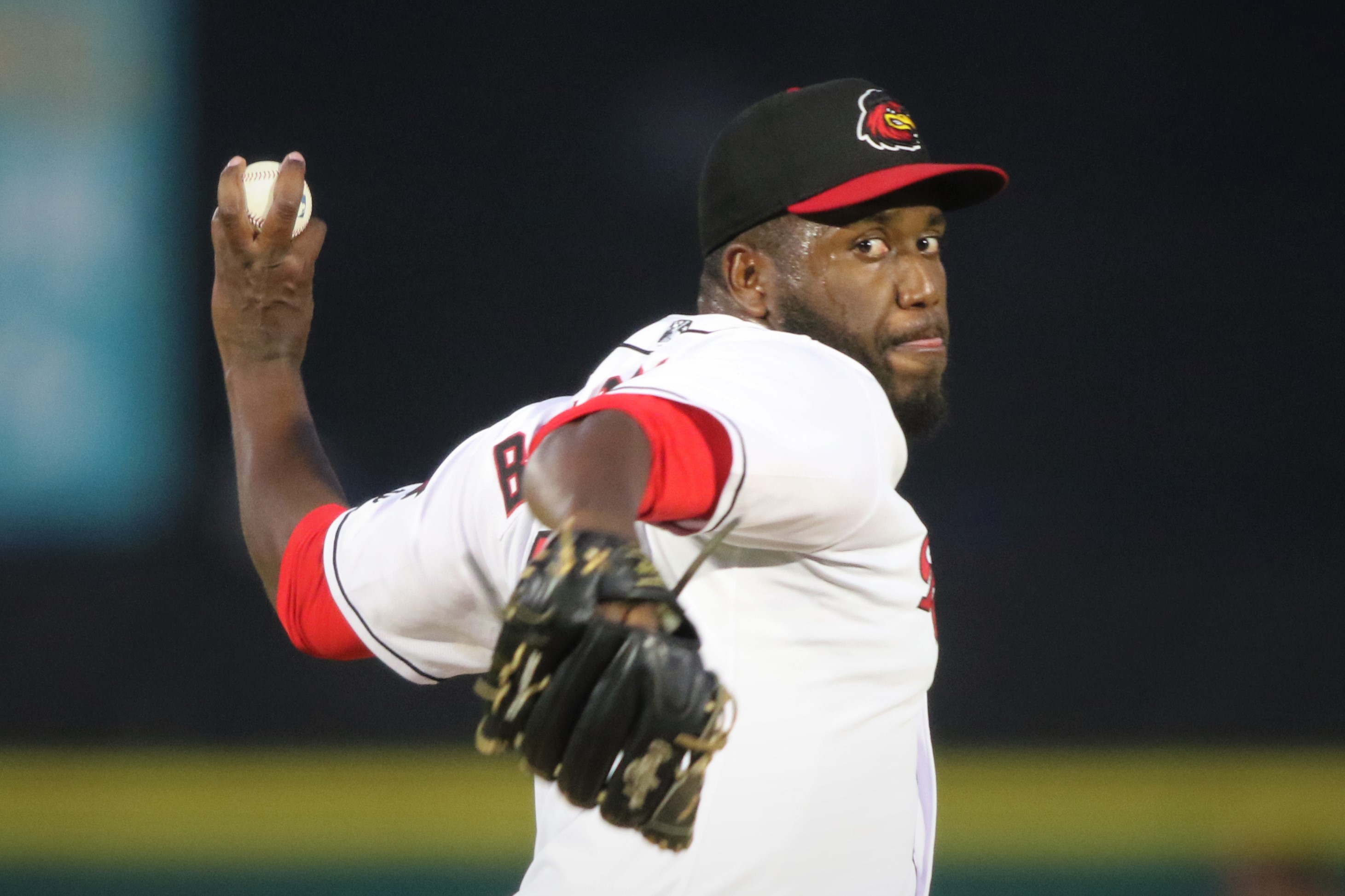 Redwings pitcher image