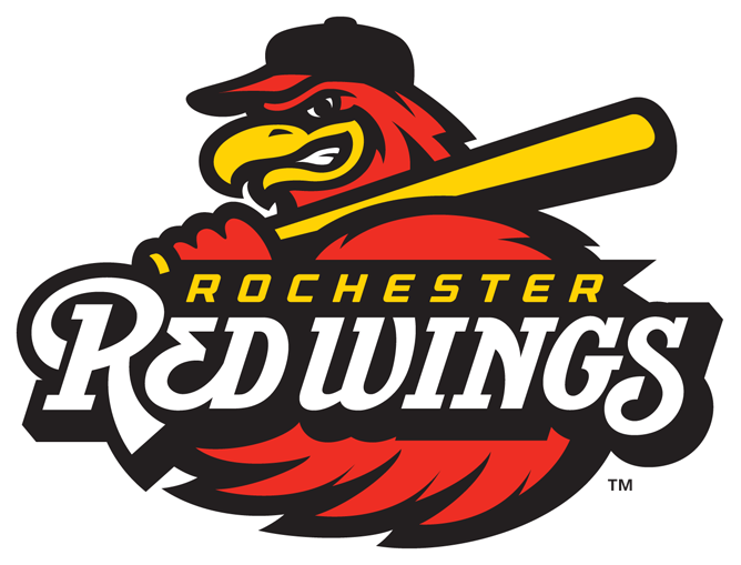 Redwings logo image